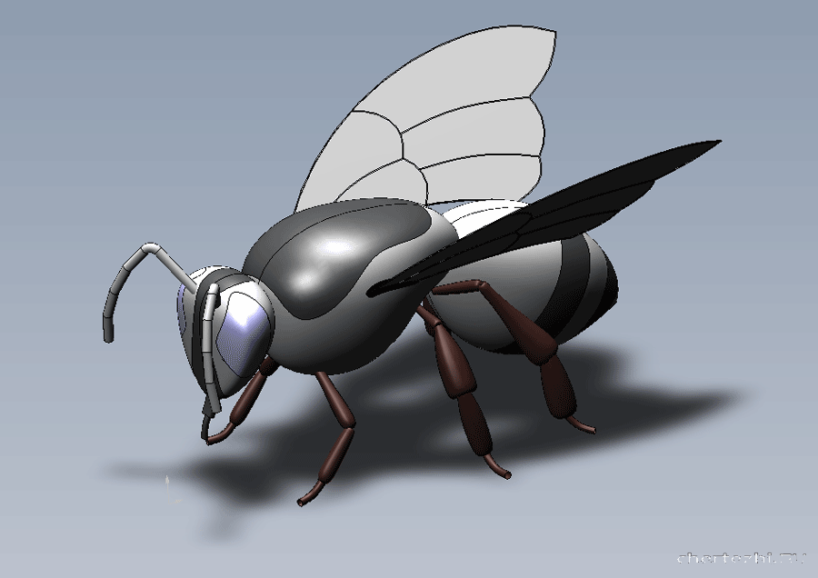3D модель пчелы